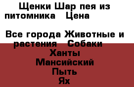 Щенки Шар пея из питомника › Цена ­ 25 000 - Все города Животные и растения » Собаки   . Ханты-Мансийский,Пыть-Ях г.
